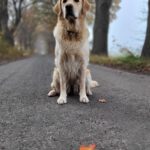 Amy von der Braunschweiger Löwenbande